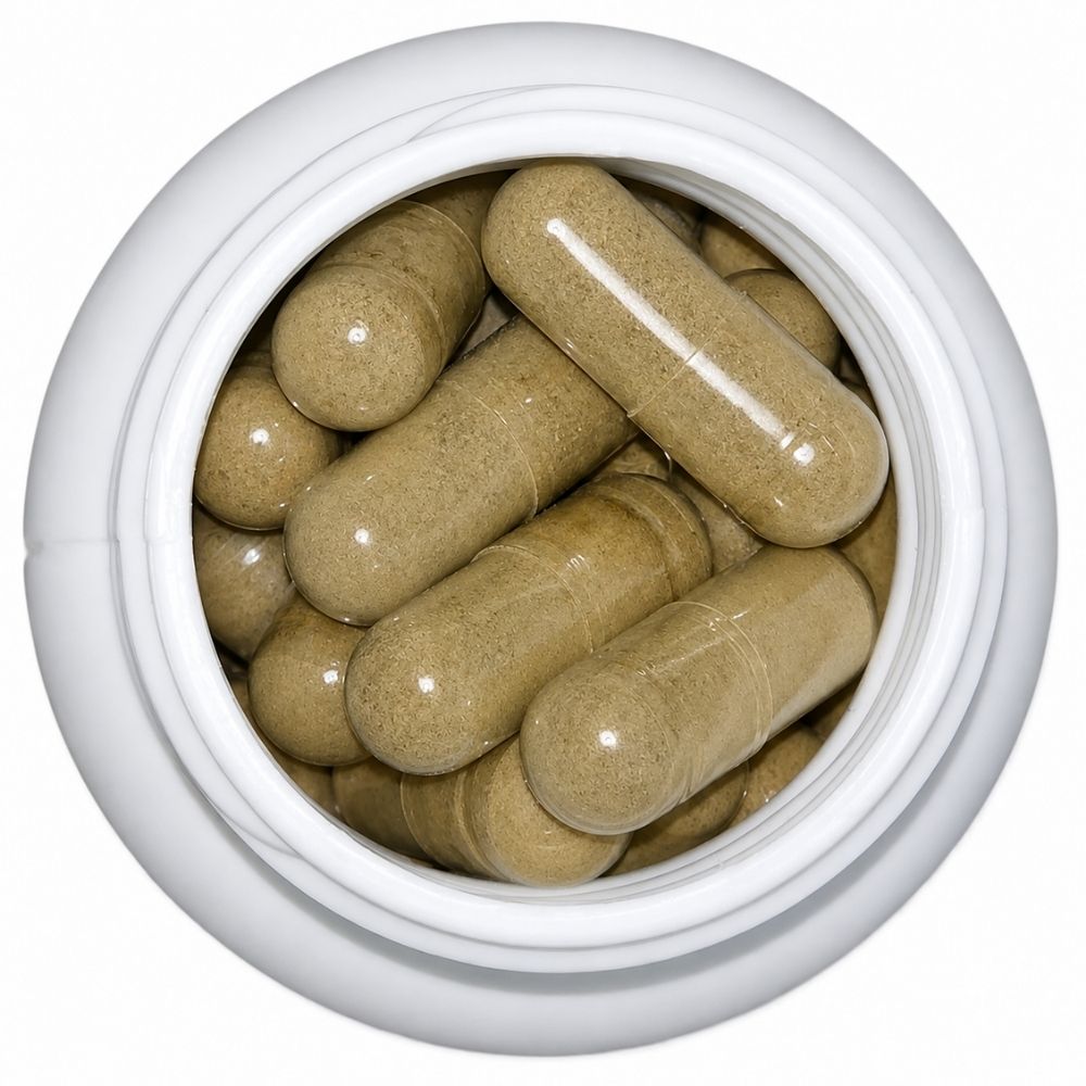 Healthy Life- Holy Basil/Tulsi Capsules 60's - Image 6
